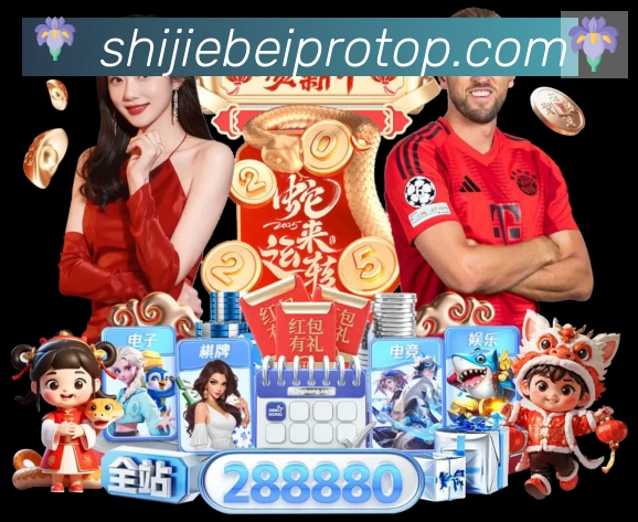奖项证书